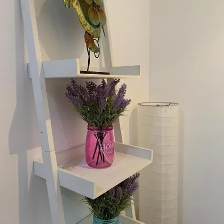 Ria Do Sal 4* Aveiro