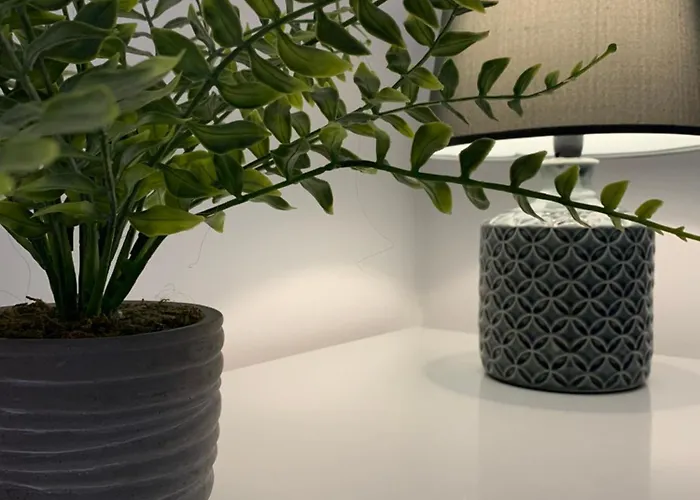 Ria Do Sal Bed & Breakfast